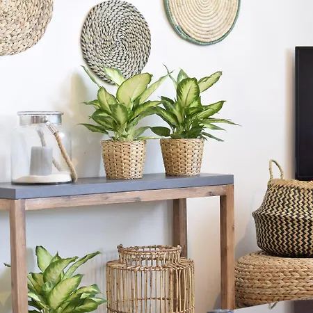 Apartamento Chania Urban Living - Live Like A Local La Canea